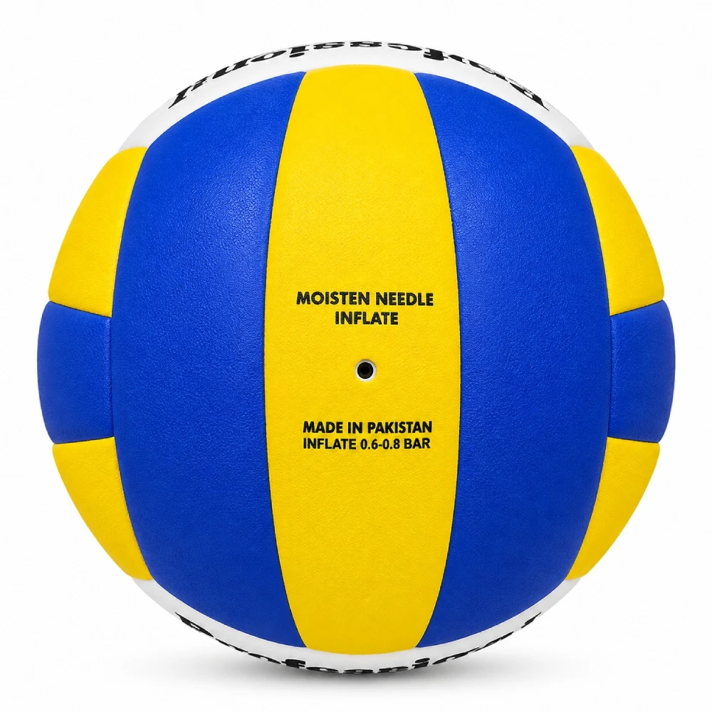 Volleyball Gr. 5 3