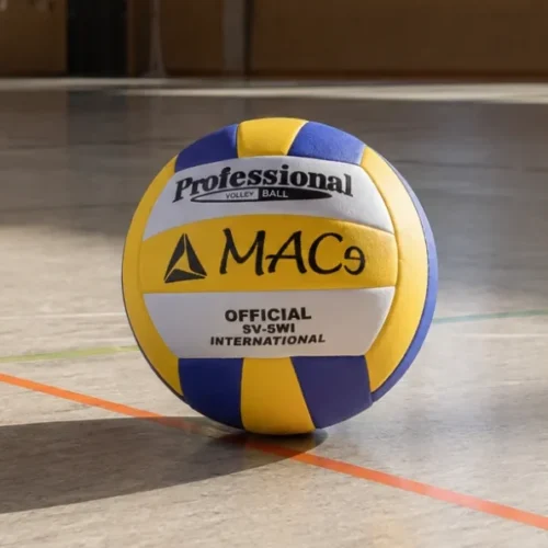 Volleyball